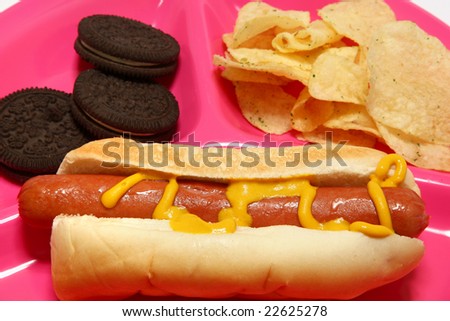 Hotdog, chips, cookies on childs tray.