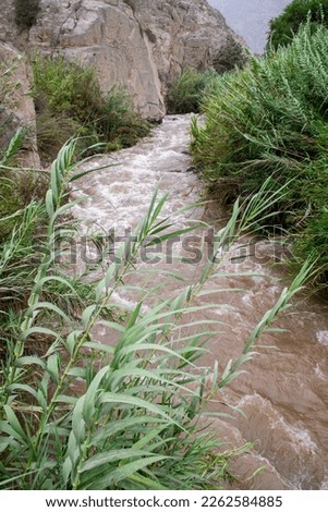 River flood, brown waters, produced by the increase in rainfall in the hills of Peru.