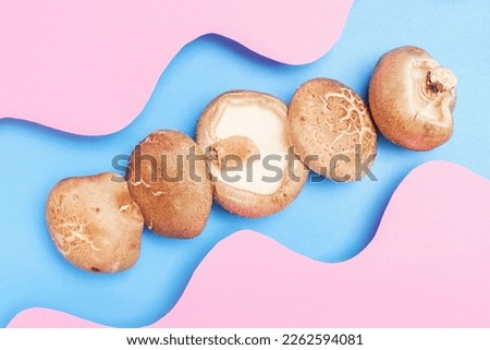 Shiitake mushrooms on blue and pink background close up top view.