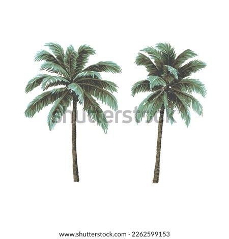 SET OF HAND DRAWN PAINTED PALM TREES ILLUSTRATION
