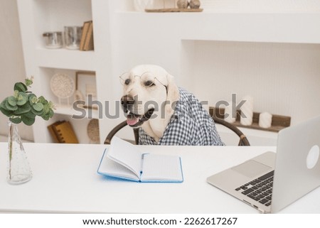 a dog in a shirt works at a computer and makes notes in a notebook. A dog in the form of a programmer or director works in an oise at a table. High quality photo