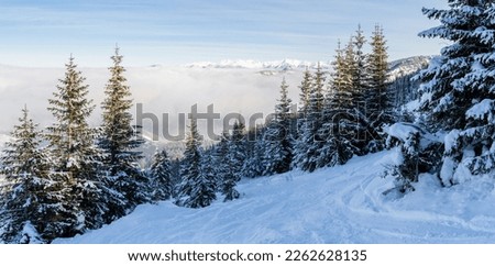 Alpine mountains landscape with white snow and blue sky. Sunset winter in nature. Frosty trees under warm sunlight. Jasna, low tatras, slovakia