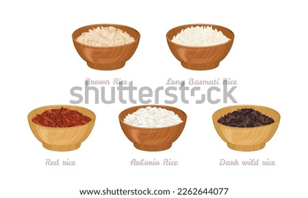 Set of wooden bowls with rice seed of different types. Arborio, dark wild rice, red, long basmati rice and brown rice. Vector cartoon illustration. Royalty-Free Stock Photo #2262644077