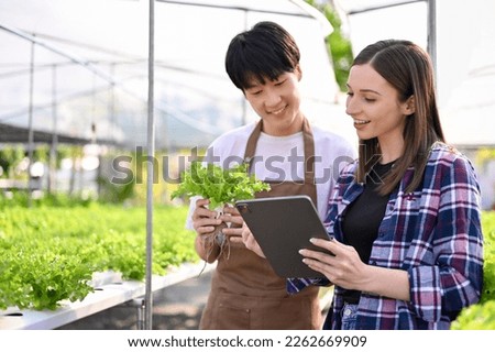 Attractive and successful caucasian female hydroponic farm owner working with an asian male farmer in the greenhouse, inspecting the quality, checking orders. Agricultural business concept