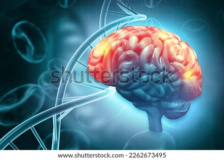 Anatomy of human brain. Active parts of the brain. 3d illustration