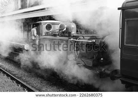 Steam covering a Victorian steam engine at a Victorian station. 