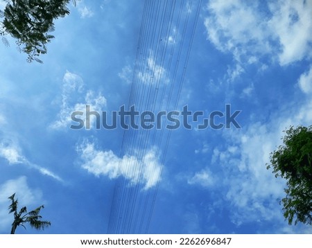 dark blue sky background side by side with tree leaves