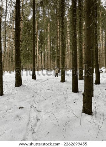 Winter forest talking to a man on the phone Royalty-Free Stock Photo #2262699455