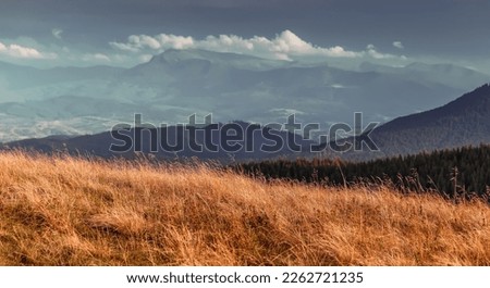 Vivid atmospheric nature sceneryю Awesome alpine highlands in sunny day. Beautiful nature background. Picture of wild area