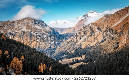 Stunning nature landscape. View on Mountains valley under sunlight, Picture of Wild Area