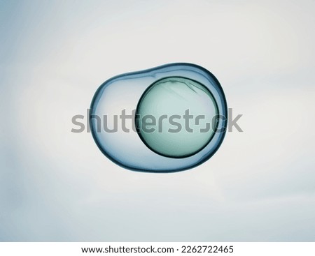 Cells division process, Cell divides into two cells Royalty-Free Stock Photo #2262722465