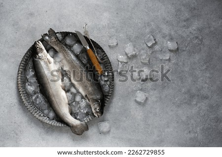 Raw fresh fish trout on ice cubes over grey stone or concrete background. Top view with copy space.