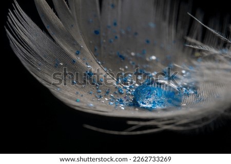 feather with rain drops and little glass glitters - beautiful macro photography