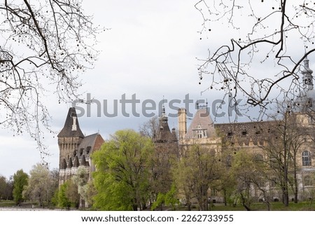 Gothic castle view with tree branches background