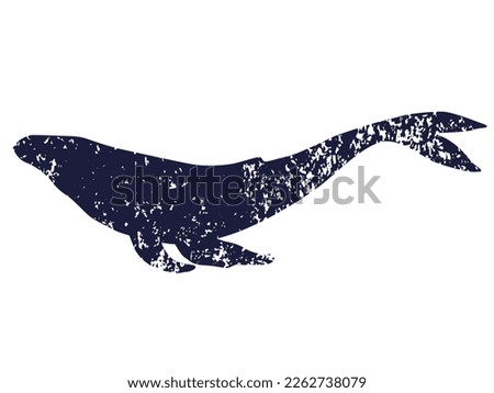Whale textured silhouette. Vector illustration isolated on white background