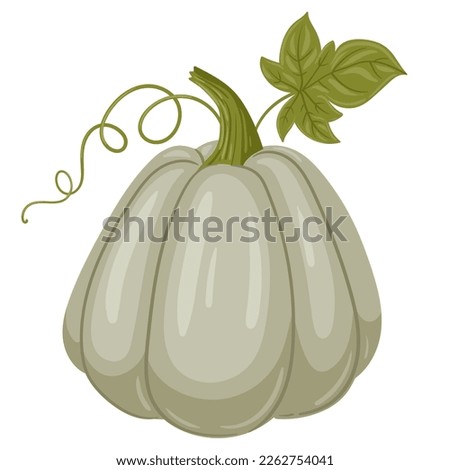 Cartoon pumpkin. Autumn thanksgiving and halloween pumpkin. Harvest gourd, pumpkin squash with leaves flat vector illustration