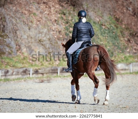 Dressage rider with horse in the riding arena, photographed from behind while trotting, motif on the right in the picture.
