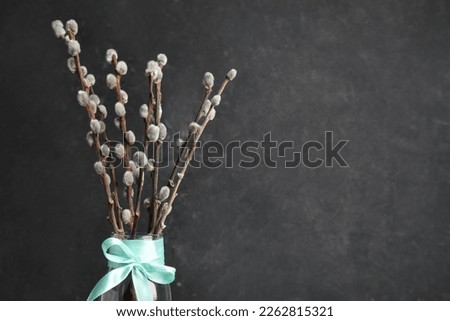 Vase with pussy willow branches and turquoise ribbon on black background