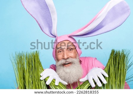 Photo of charming funky pensioner guy dressed bunny kigurumi hiding green grass isolated blue color background