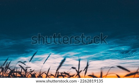 Hyper Shot Night Starry Sky With Glowing Stars Above Countryside Landscape. Noctilucent Clouds Above Rural Wheat Field In Summer. Summer .