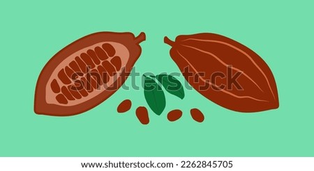 Colored cocoa bean icon. A flat illustration of a vector icon of cocoa beans. Royalty-Free Stock Photo #2262845705