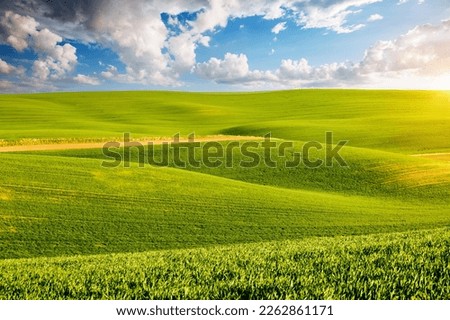Perfect view of farmland and green wavy fields. Location place of Ukrainian agrarian region, Europe. Agricultural area and cultivated fields. Photo wallpaper. Minimalistic landscape. Beauty of earth. Royalty-Free Stock Photo #2262861171