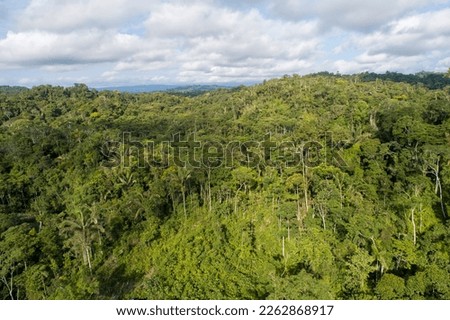 Amazon jungle landscape from eastern Ecuador from drone view