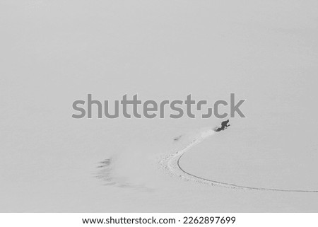 Great snowboarding line on white field, black and white photo of winter activity. Ski touring in mountains, winter freeride extreme sport