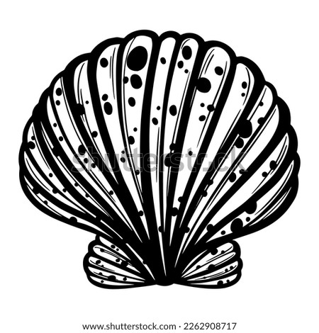 Marine seashell or mollusk for design of invitation, fabric, textile, etc. Vector outline sketch black isolated illustration.