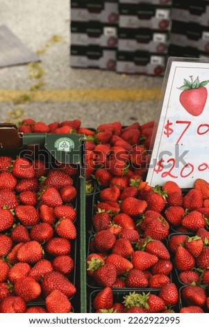 Fruit at a Farmers Market