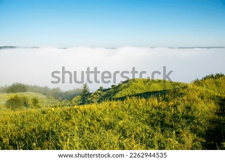 Fantastic view of the fresh green pasture in the morning mist. Location place of Dniester canyon, Ukraine, Europe. Vibrant photo wallpaper. Ecological district. Discover the beauty of earth.