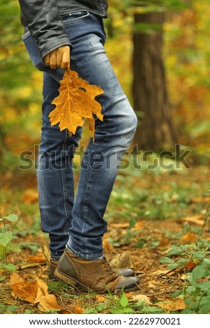 Walking in a forest in autumn