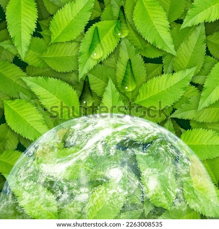 Background of green leaves piled up and water drops with earth (half world) below. element of image finished by NASA