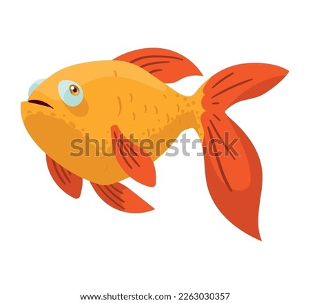 ornamental gold fish swiming life