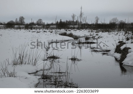 Winter landscape with an unfrozen river in the distance forest.