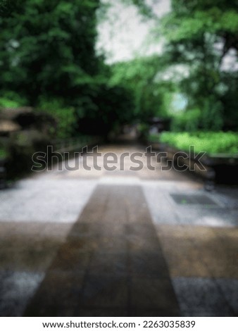 Defocused abstract background of path in the park with green trees. 