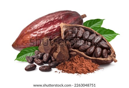 Cocoa ingredients with cocoa beans, fresh cocoa pod and cocoa mass isolated on white background. Royalty-Free Stock Photo #2263048751