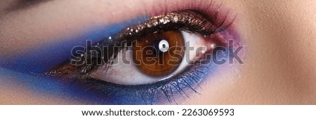 Closeup of brown female eye with beautiful brown red and orange tints smoky eye makeup Royalty-Free Stock Photo #2263069593
