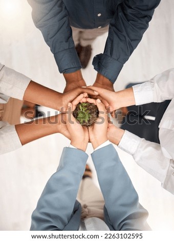 Support, environment and plant with hands of business people for sustainability, earth day and growth. Wellness, teamwork and peace with group and soil for climate change, future and eco friendly Royalty-Free Stock Photo #2263102595