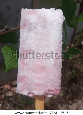 holding blueberry flavored ice cream sticks in hands plant background during the day under the hot sun in Indonesia.