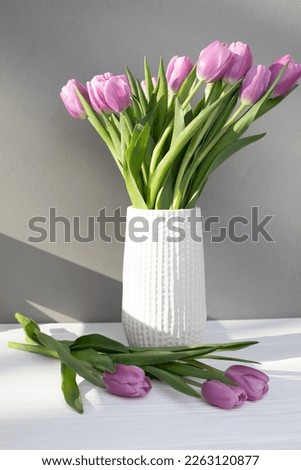 Gently pink bouquet of tulips in a white vase on white-gret background. Spring background with a bouquet of flowers. Front view