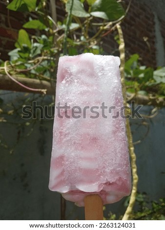 holding blueberry flavored ice cream sticks in hands plant background during the day under the hot sun in Indonesia.