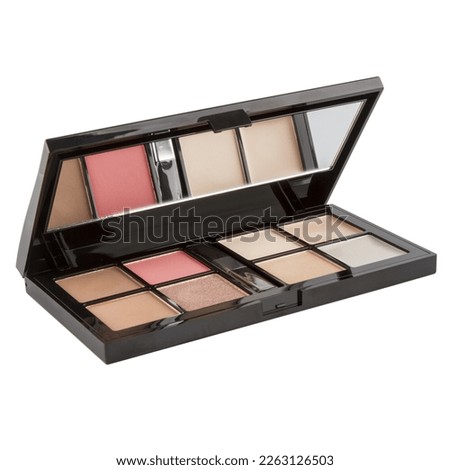 Eyeshadow palette, in a black case isolated on a white background.