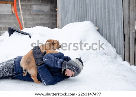 Puppies threw the child on the snow and everyone rejoices. Funny games with a dog outside in winter