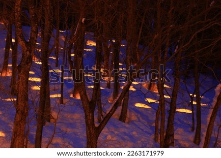 Nishiwaga Town, Iwate Prefecture Winter Night Illumination