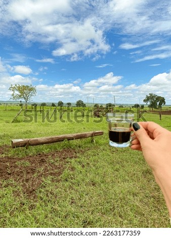 images of my daily life, I love to photograph coffee, nature, my cat, my drinks, my favorite hobby is photography.