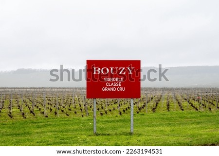 View of Champagne gran cru vineyards at winter and sigh, english translation: Bouzy grand cru quality. Champagne region, France