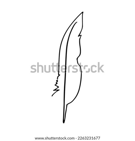 Bird feather for a quill. Sketch feather illustration for a tattoo design. Vector illustration isolated in white background