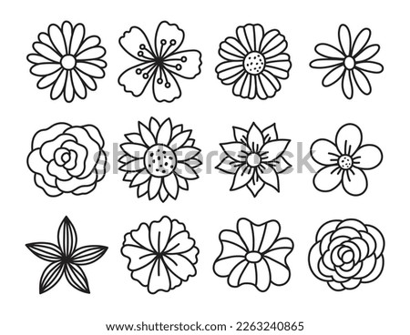 Single flower doodles drawing vector illustration. Spring flower outline set including a rose, sunflower daisy, hibiscus, peony, camellia, morning glory, etc.
