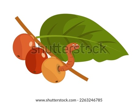 Smiling worm on berries flat vector illustration. Cartoon insect character peeking out of ripe fruit with wide smile isolated on white background. Happiness, nature, optimism concept